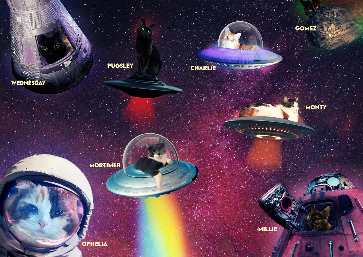 Space Taxi space cat collage